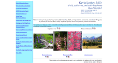 Desktop Screenshot of leeheymd.com